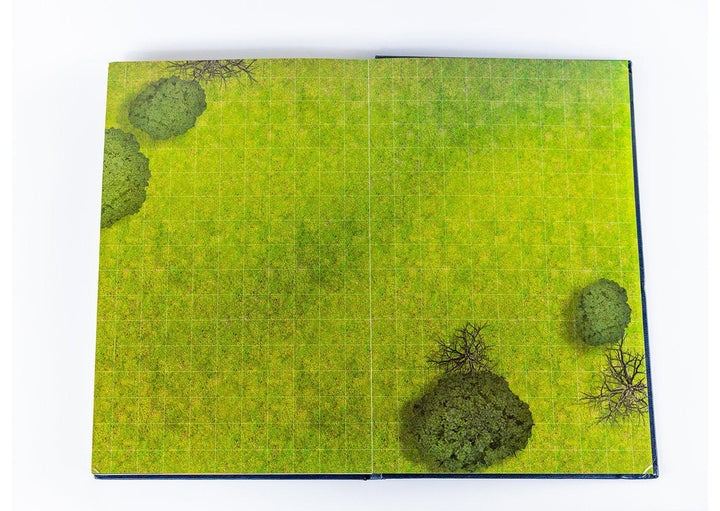 Immersive Battle Maps Vol I [FANTASY] - Yarro Studios