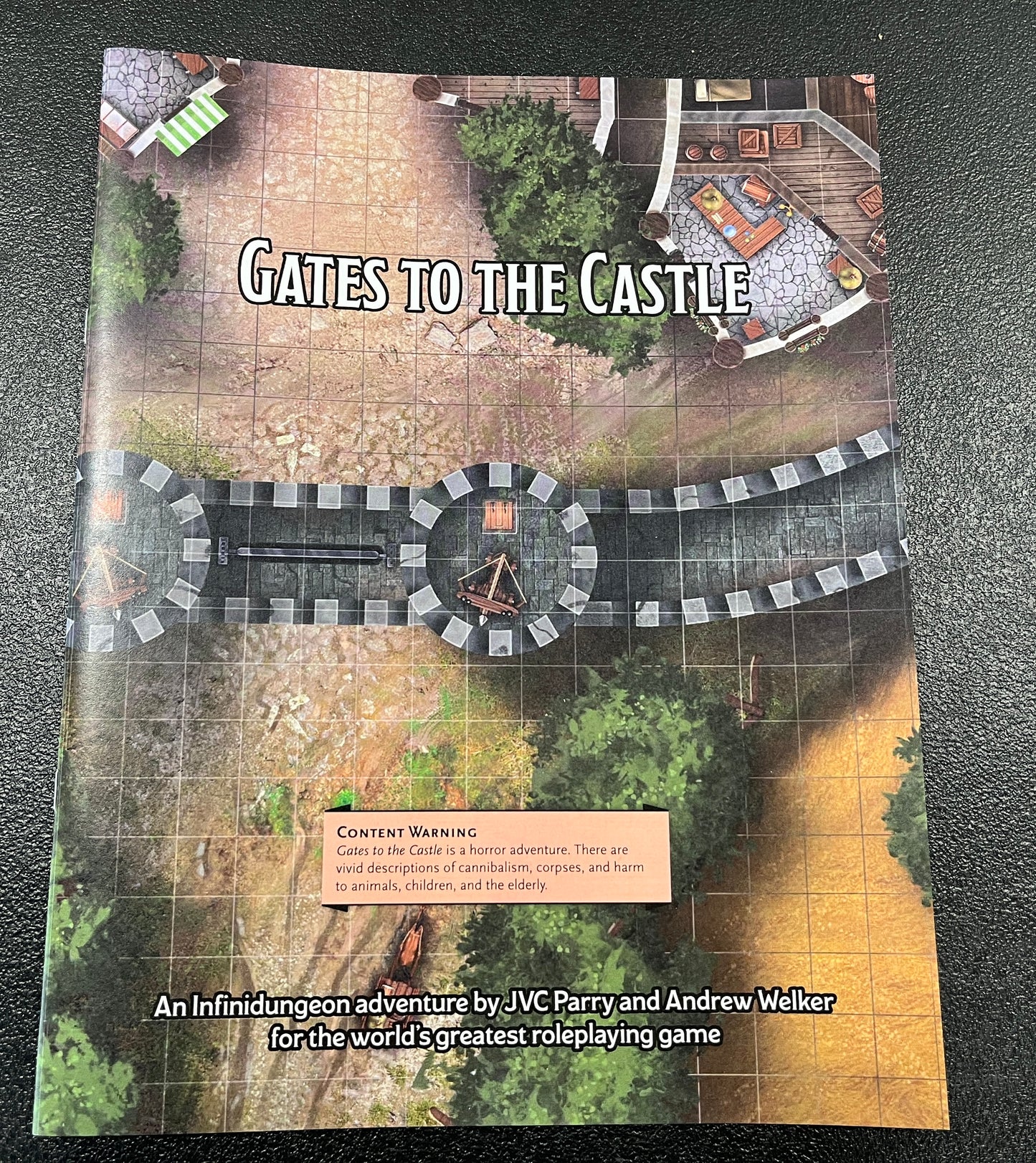 Gates to the Castle (Printed Version)