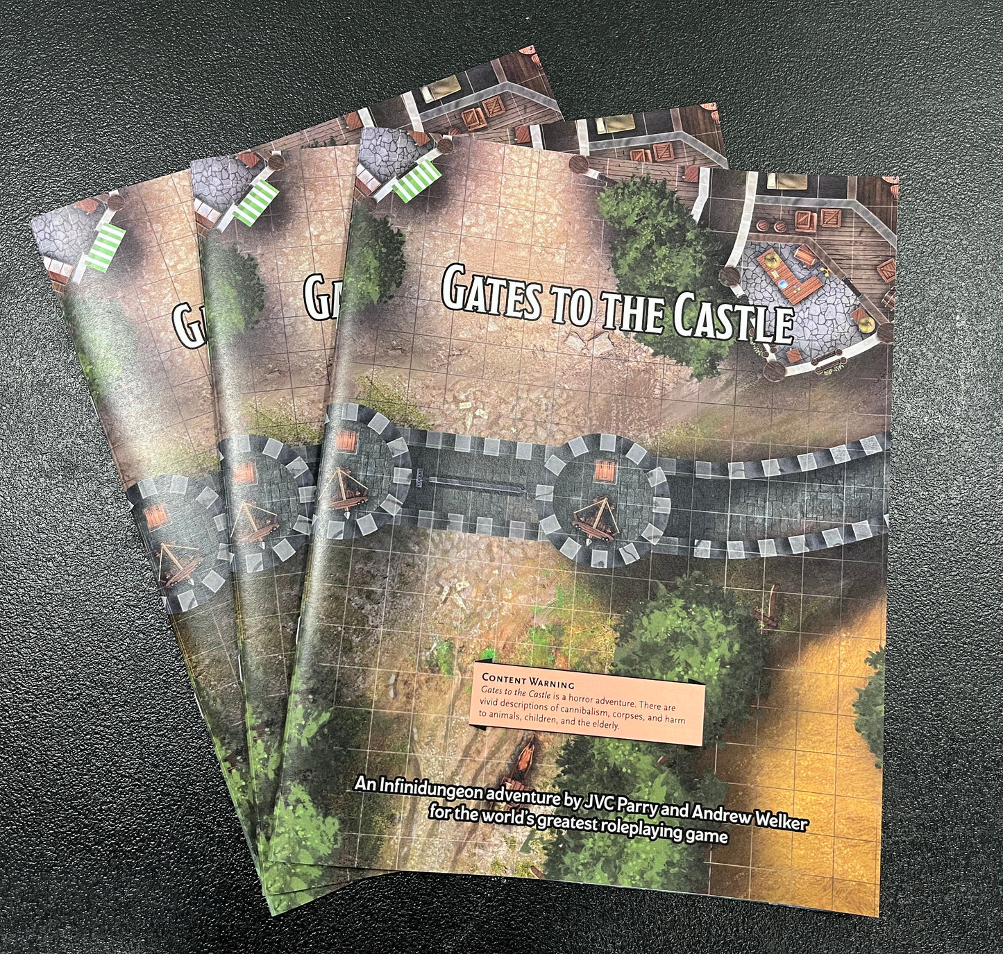 Gates to the Castle (Printed Version)